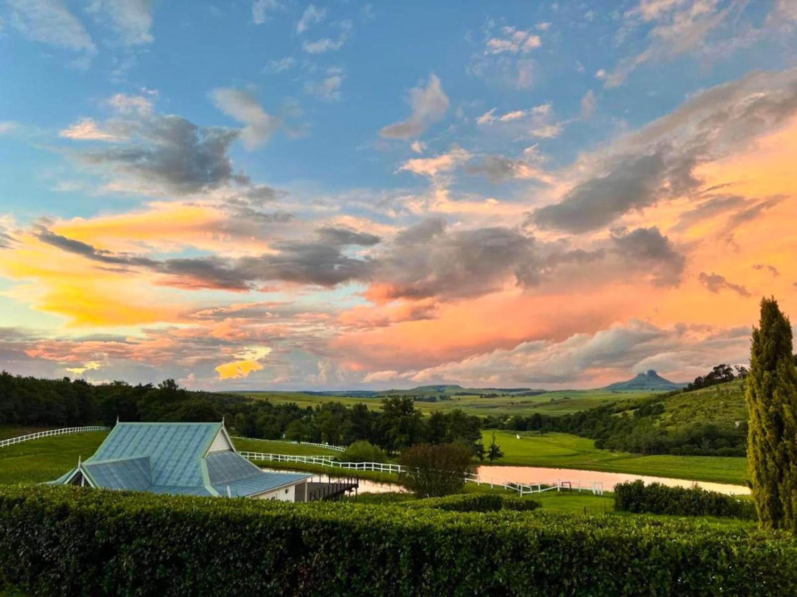 Oaklands Farm Stay Van Reenen Exterior foto